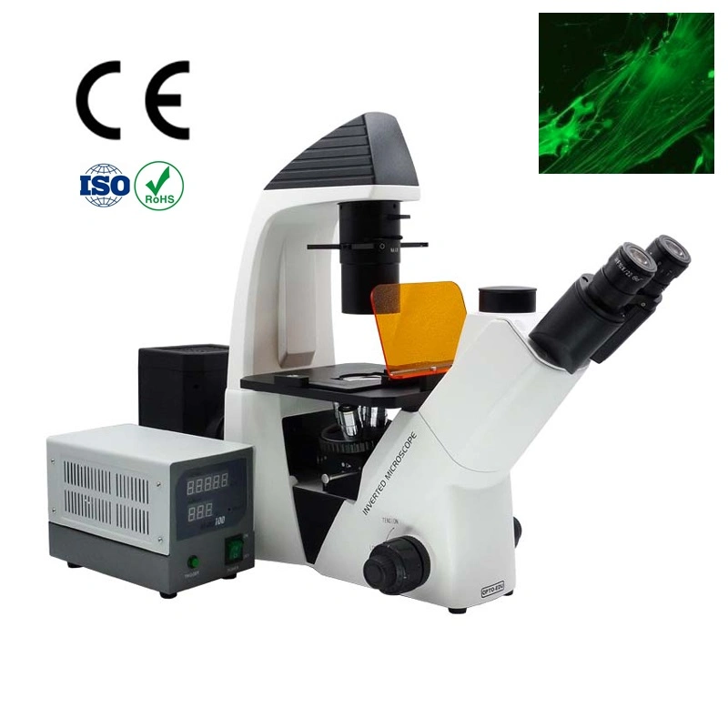 Inverted fluorescent Microscope with Dual Photo & Video Channel Support Eyepiece / Digital Camera