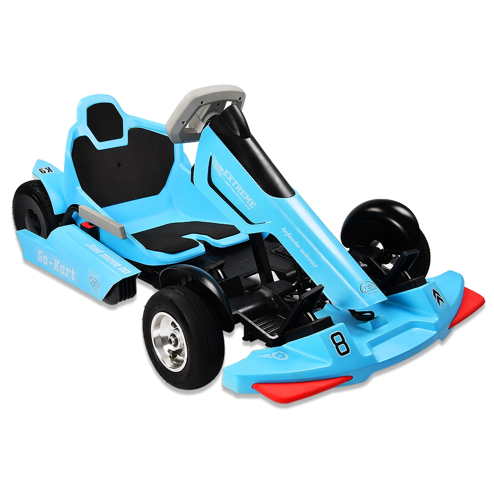 K9-1 Karting Race Sponsor Kinder Karting Wettbewerb Elektro Go Kart