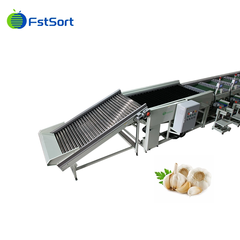 Hohe Effizienz Automatische Knoblauchbrechung Peeling Sortiermaschine Knoblauch Reiniger Maschine Knoblauch Waschmaschine zum Verkauf