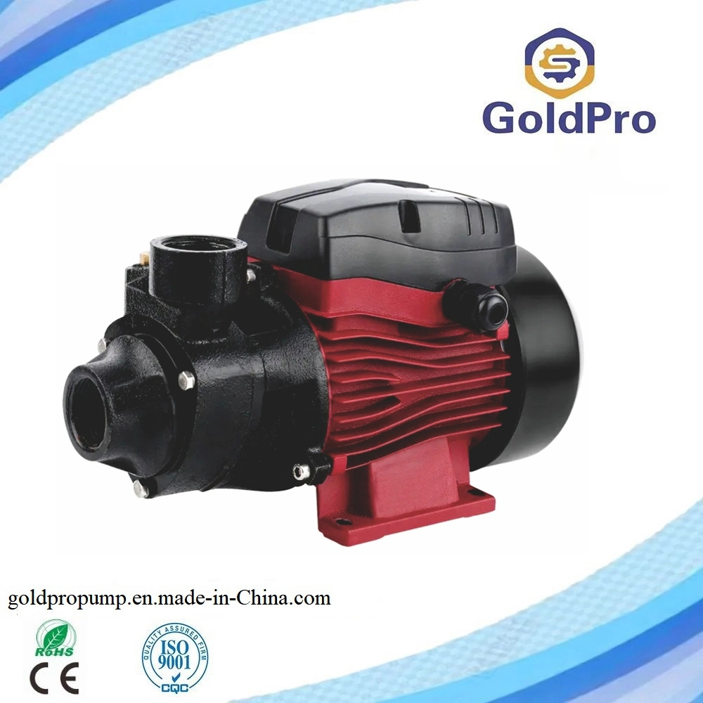 Widely Used Light Weight Cast Iron Copper Wire Electric Motor Water Pump