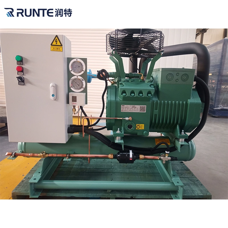 Runte Brand Walk in Cooler Factory Price Meat Blast Frozen Foods Freezing Room Cold Storage Single Compressor Condensing Unit with Bizter Compressor