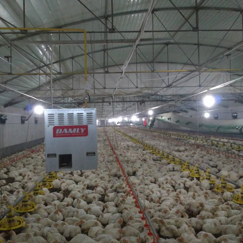 Fabricante Damly Animal y el equipo de la cría de aves de corral pollo calentador de ventilador para jaulas de animales