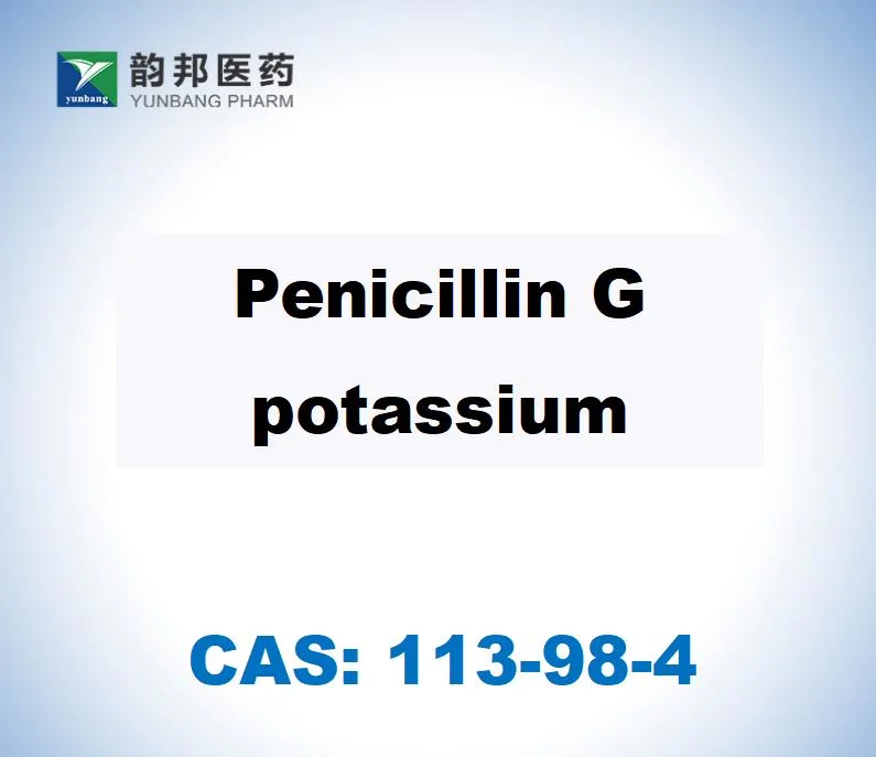CAS113-98-4، مادة خام صيدلانية بينسيلين جي بوتاسيوم مع الطبقة العليا