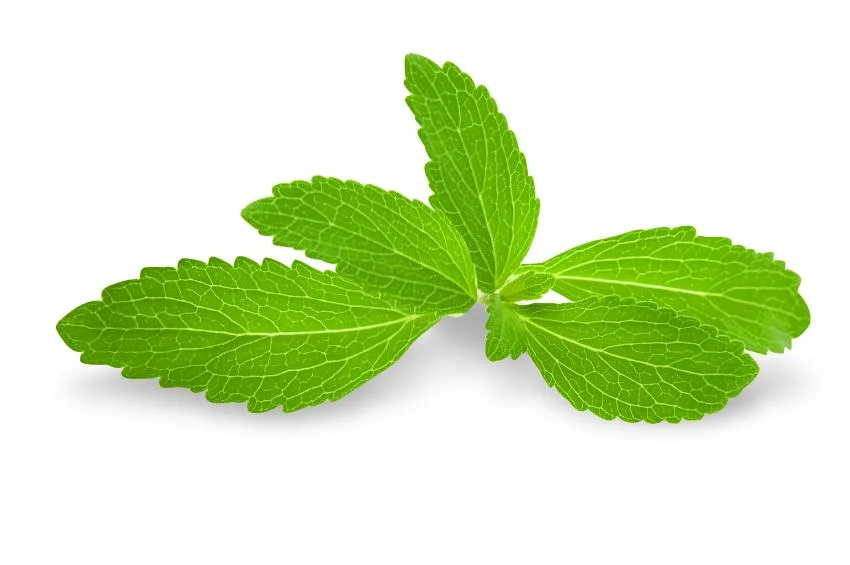 Stevia Natural 100% Pura ra del 97% de azúcar en la Stevia El 95% 99% de extracto en polvo edulcorante