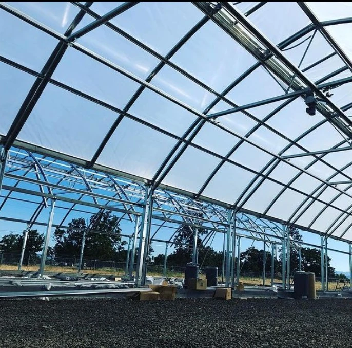 Vensovo Farm Clear Greenhouse Covering - 26X40 FT Anti-Fog Films Green House 6 Mil Plastic Polyethylene Film