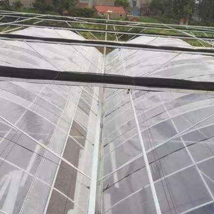 Cheap Tomato Agricultural Plastic Film Cover Low Cost Economic Tunnel Greenhouse for Vegetable