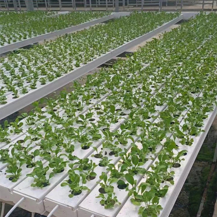 Agriculture Irrigation System Hydroponic Growing Vertical Planting System