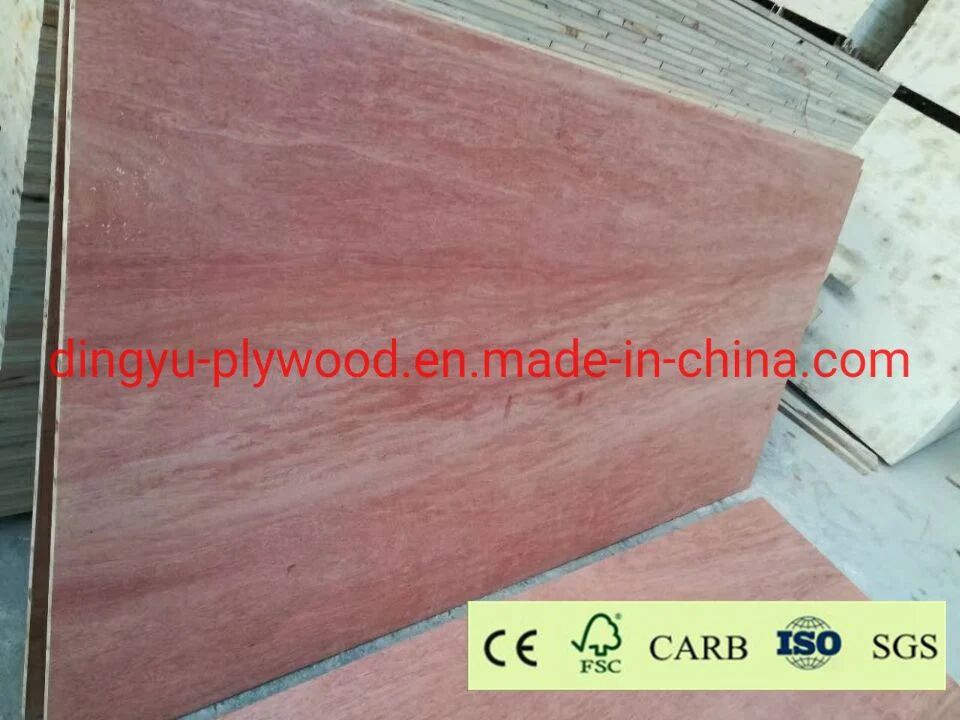 Bintangor/Okoume/Pencil Cendar Wood Veneer Commercial Plywood for Furniture/Decoration