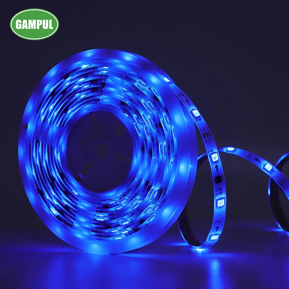 Original Factory Directly Sell Flexible Smart Music Chasing RGB Tape Lighting for Christmas Decorations