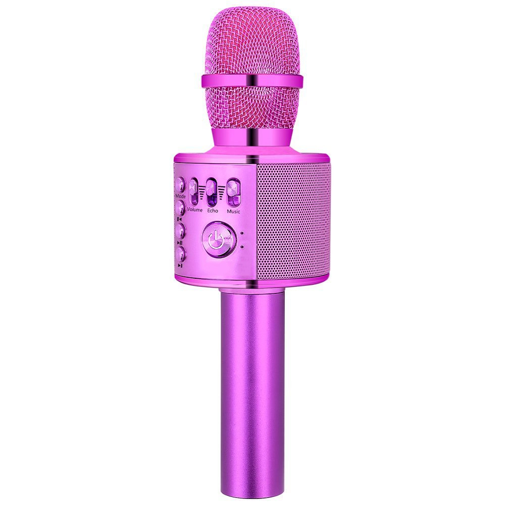 Portable Microphone and Speaker for Muisc Playing and Singing