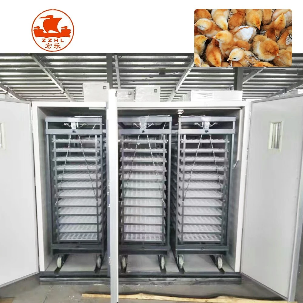 Automatic Chicken Egg Incubator Solar Egg Incubator Manufacture for 5280 Eggs