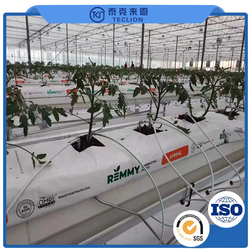 9600 * 650 * 2500mm Intelligent System Automatic Container Greenhouse Farm Multi-Layer Indoor Lettuce Plant Growth