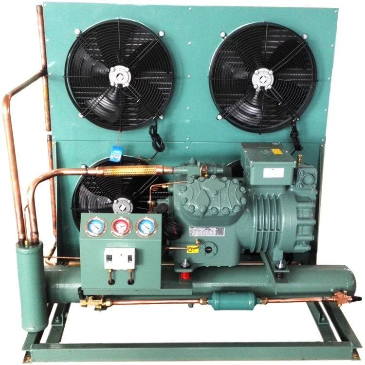 La unidad de condensación con compresor de refrigeración de las unidades de condensación de un cuarto frío.