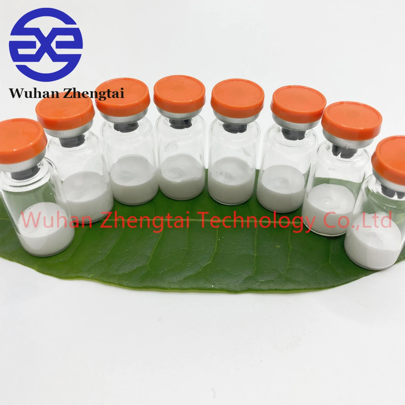 High-Quality Semaglutide Powder - 99% Pure, Melanotan II Tirzpatide Semaglutide Retatrutide