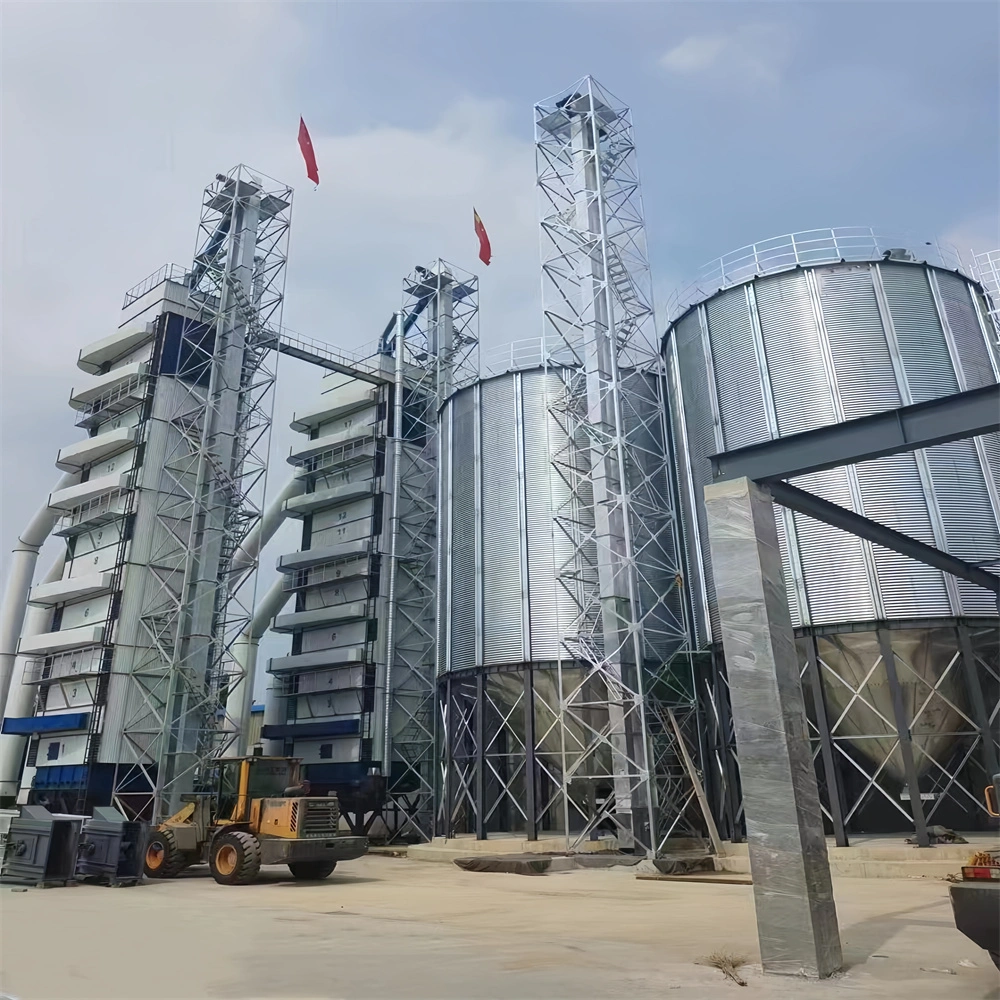 500t Galvanizing Steel Grain Silo for Paddy Storage