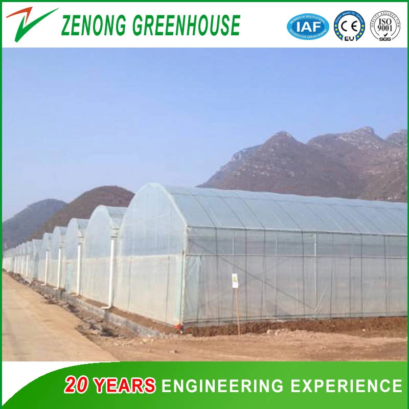 Commercial Greenhouse Film Greenhouse with Automatic System for Planting Tomota, Cucumber, Lettuce