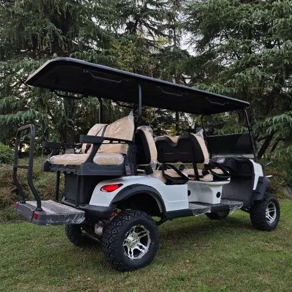 Wintao Nouveau 6 Seater électrique 4 roues Club car Golf Chariot