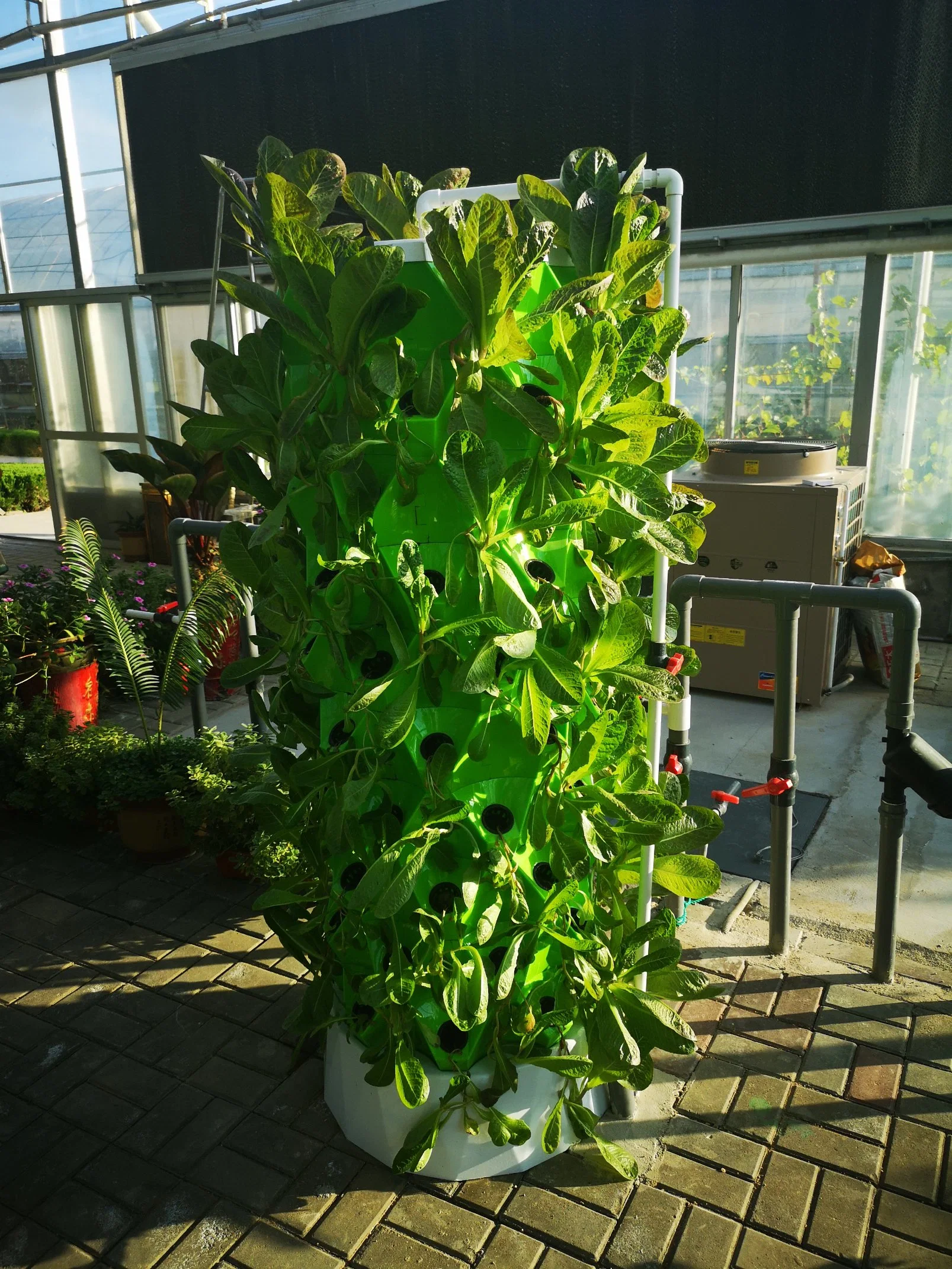 DIY Aeroponic Hydroponics Systems for Lettuce Growing