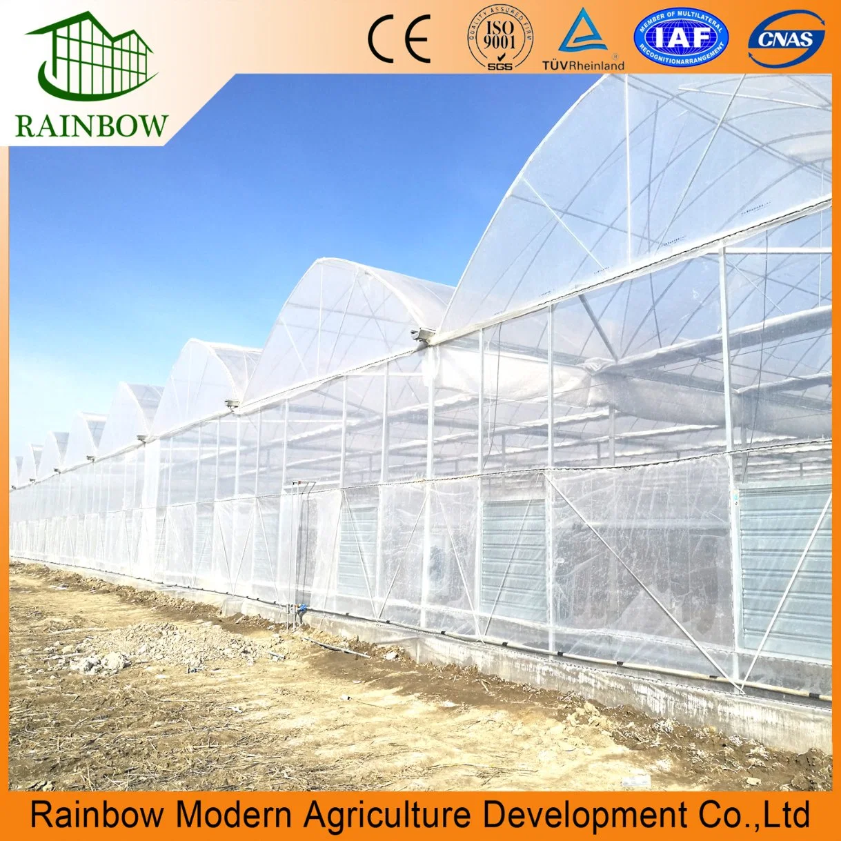 Smart Multi-Span Tunnel / Arch Type PE / Po Film Plastic Agriculture / Commercial Eco Greenhouse for Tomato/ Cucumber Strawberry with Hydroponics Growing System