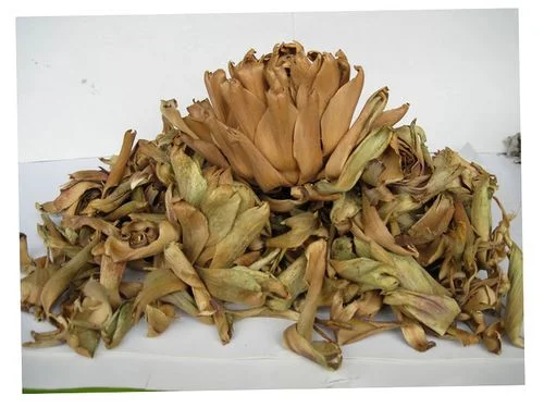 Top Quality Dry New Crop Hight Quality Frozen Vegetable Artichoke