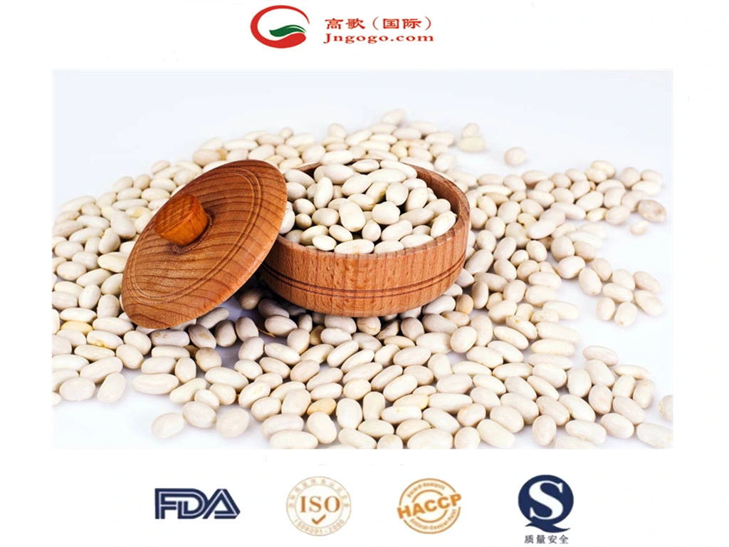 High quality/High cost performance Japanese White Kidney Bean