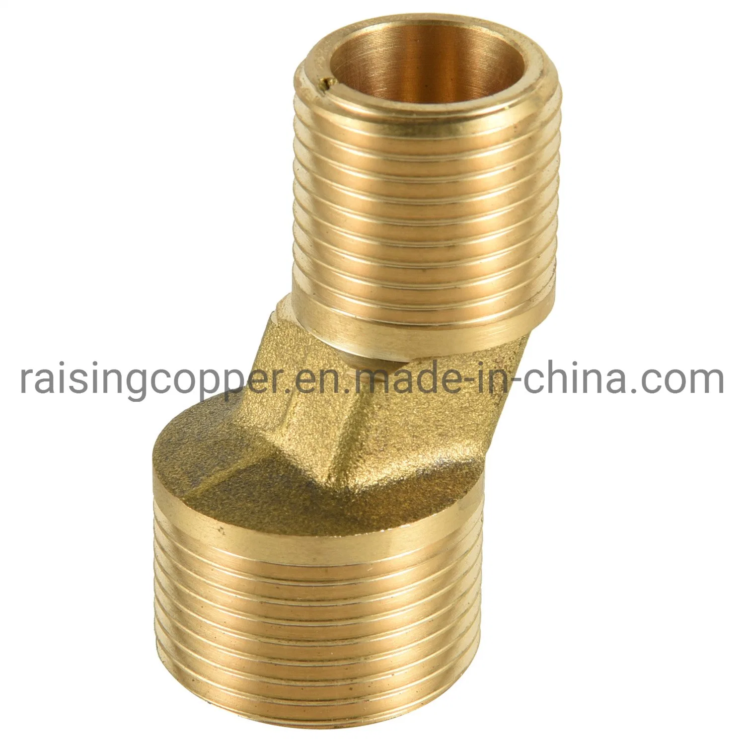 Brass Forging Fittings for Water Pipe (DSCN2390)