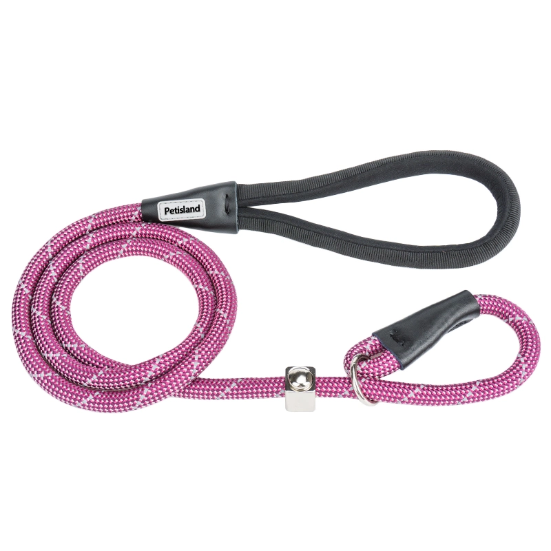 10% off Petisland Pet Items Accessories Dog Lead Collar Neoprene Padded Comfortable Reflective Adjustable Nylon Dog Collar and Leash