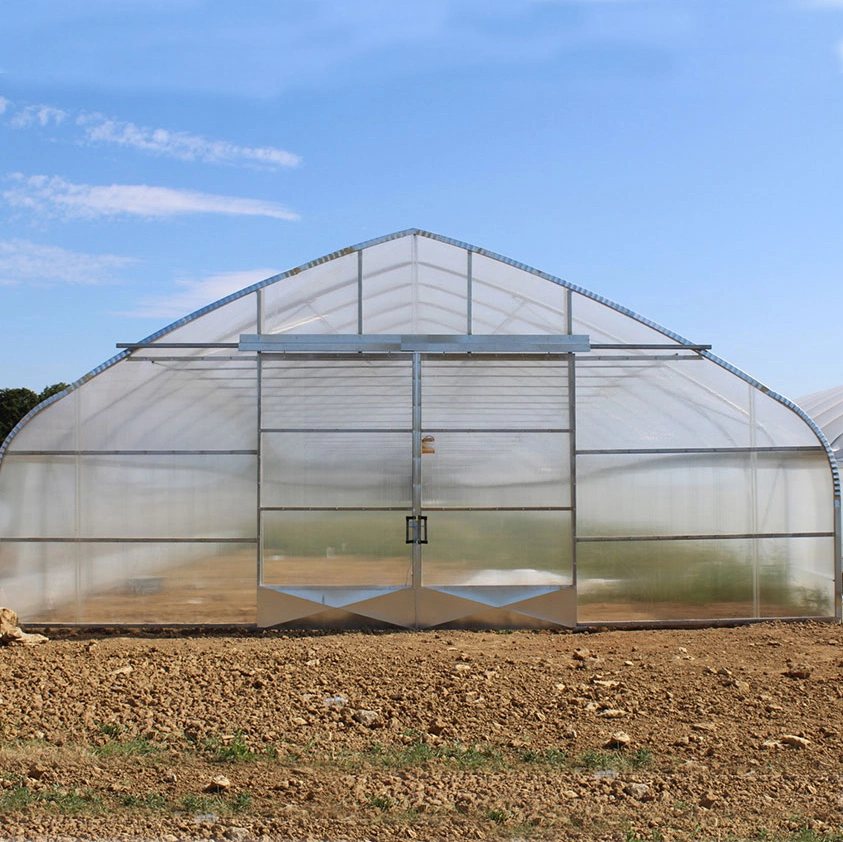 2023 Agricultura Single Span Poly Tunnel Greenhouse for vegetables/fruits/flowers