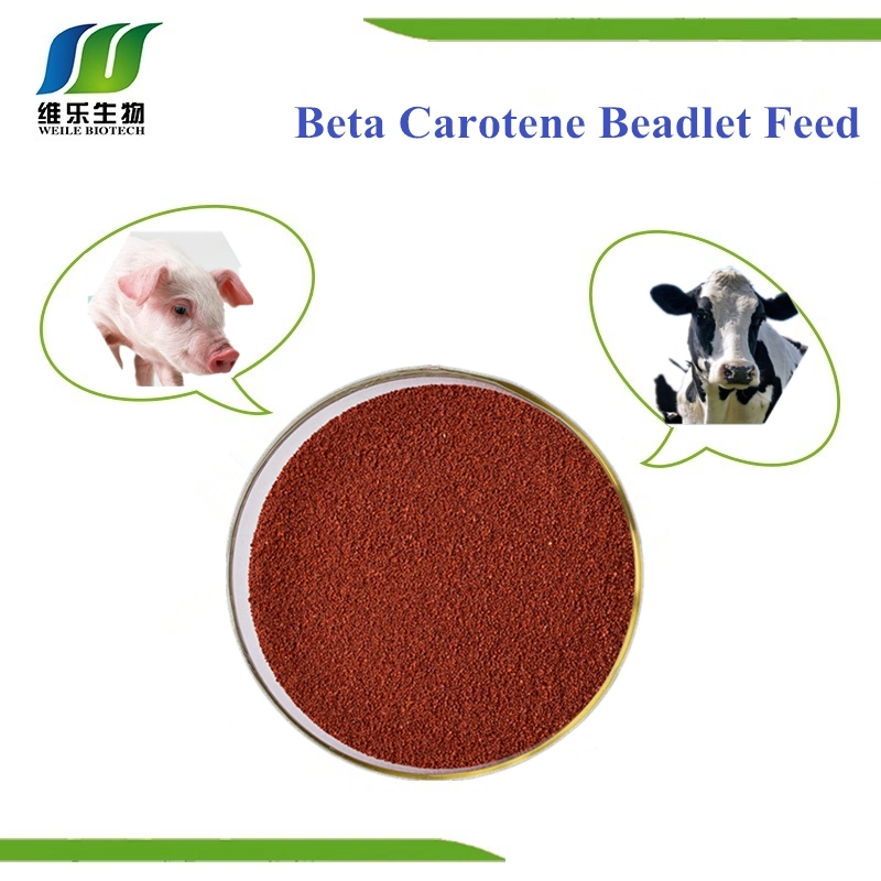 Le bêta-carotène en poudre 10 % Grade additif d'alimentation