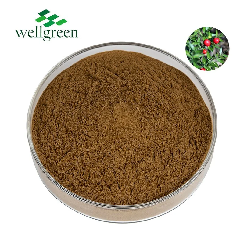 Natural Herb Butchers Broom Ruscus Aculeatus Root Extract Ruscogenins10% 20%