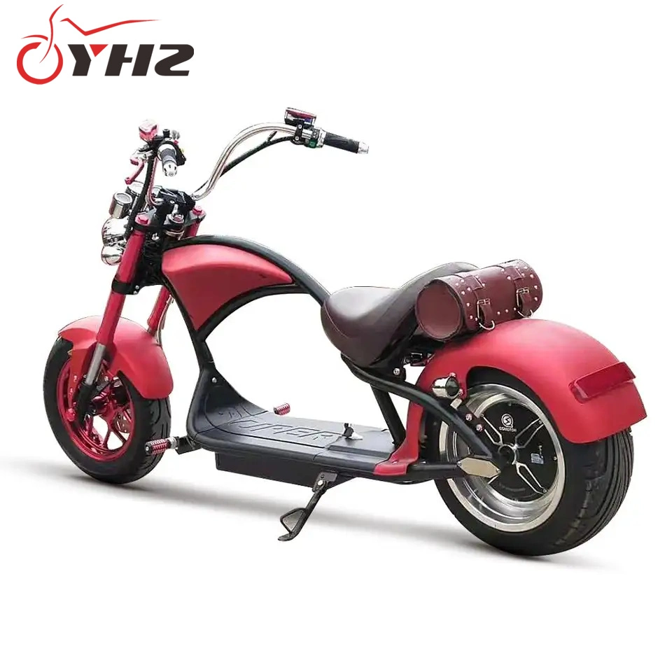 EEC with Tail Tag 60V20ah Battery Optional Scooter off-Road Electric Motorcycle
