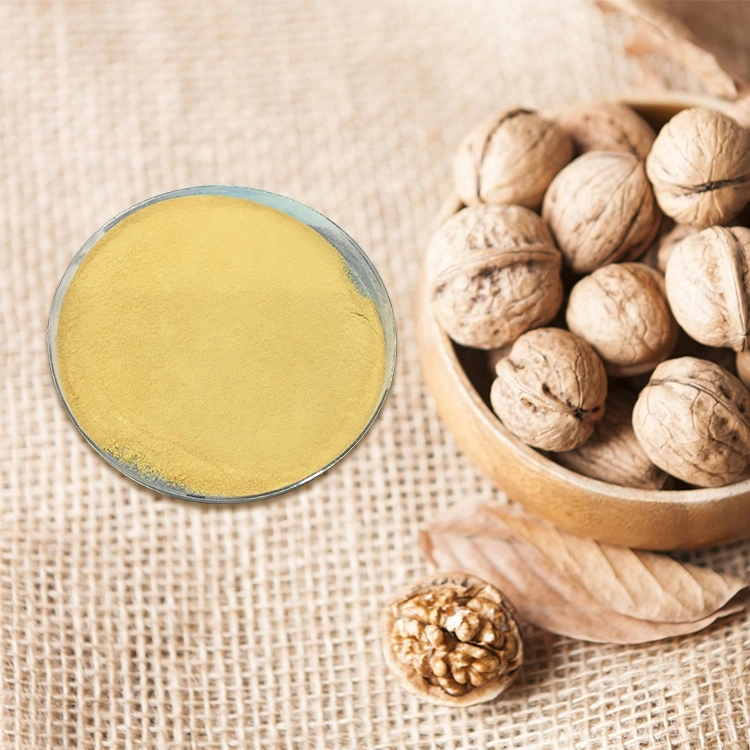 Walnut Protein Peptide, Support High quality/High cost performance Natural Walnut Powder