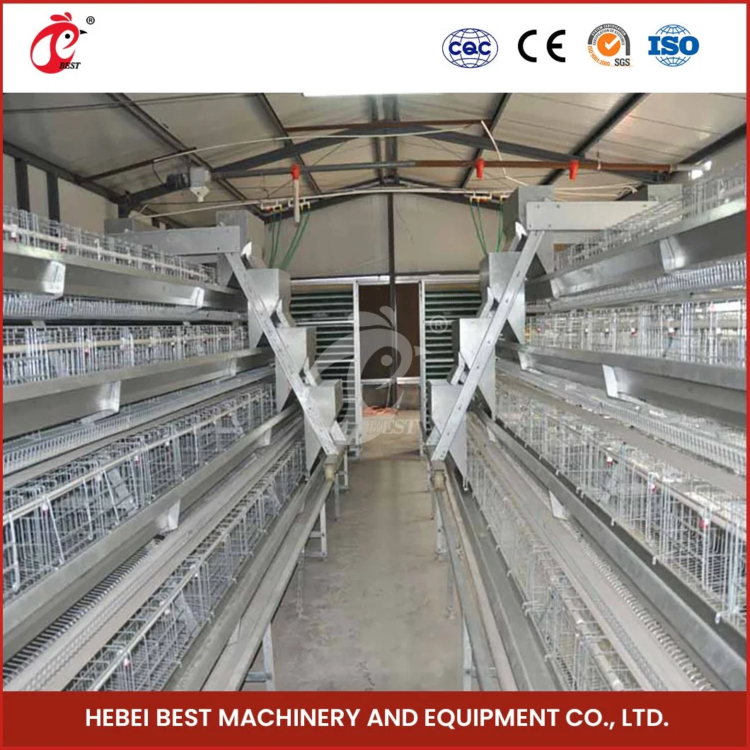 Bestchickencage China PVC beschichtet Günstige Chicken Layer Coop Factory ISO SONCAP Zertifikate Geflügellagenkäfig zum Verkauf Konfiguration Hühnerkoop Starterkit