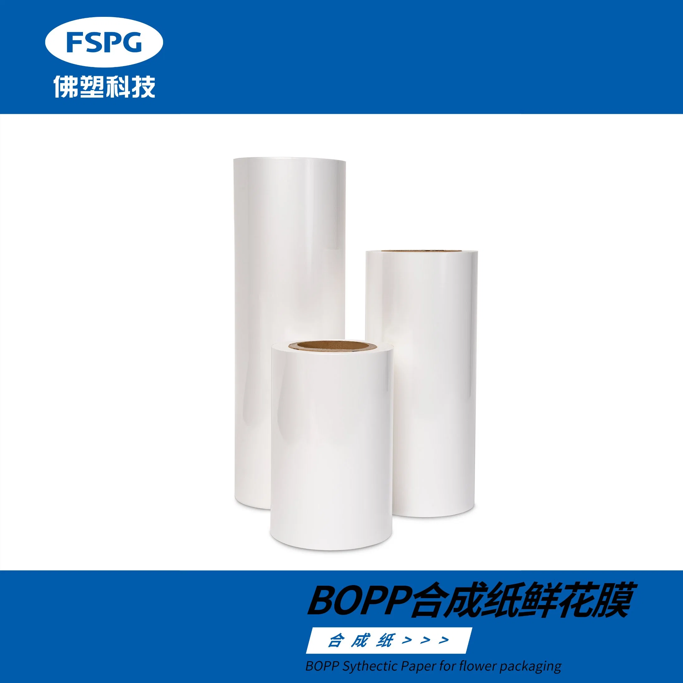 BOPP Synthetic Paper/Printing Material/Flower Film/Label Film