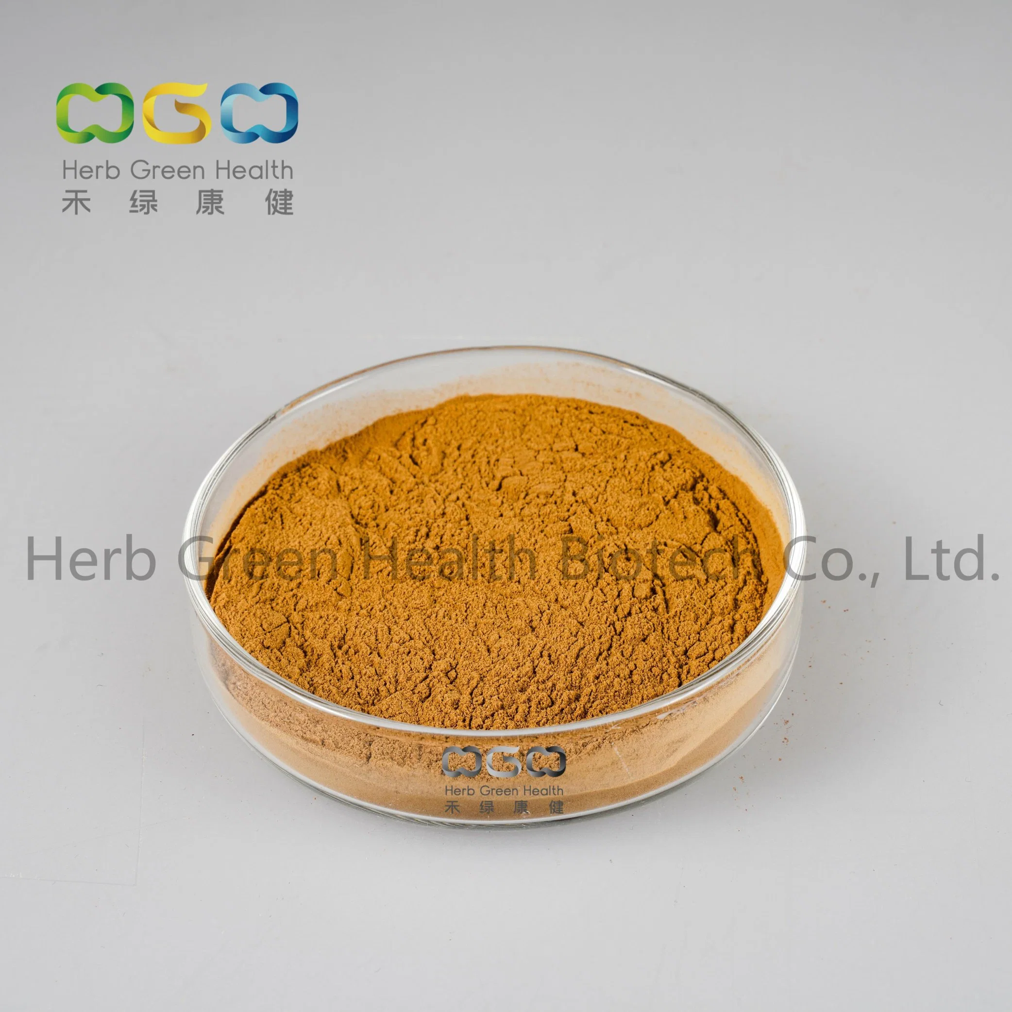 Health Supplement Gypenosides Organic Gynostemma Extract