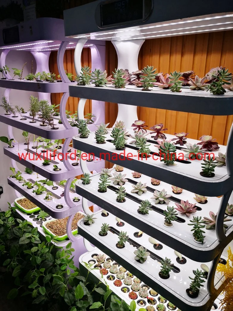 Casa inteligente sistema hidropónico agrícola Agricultura vertical en el interior del sistema de hidroponía lechuga