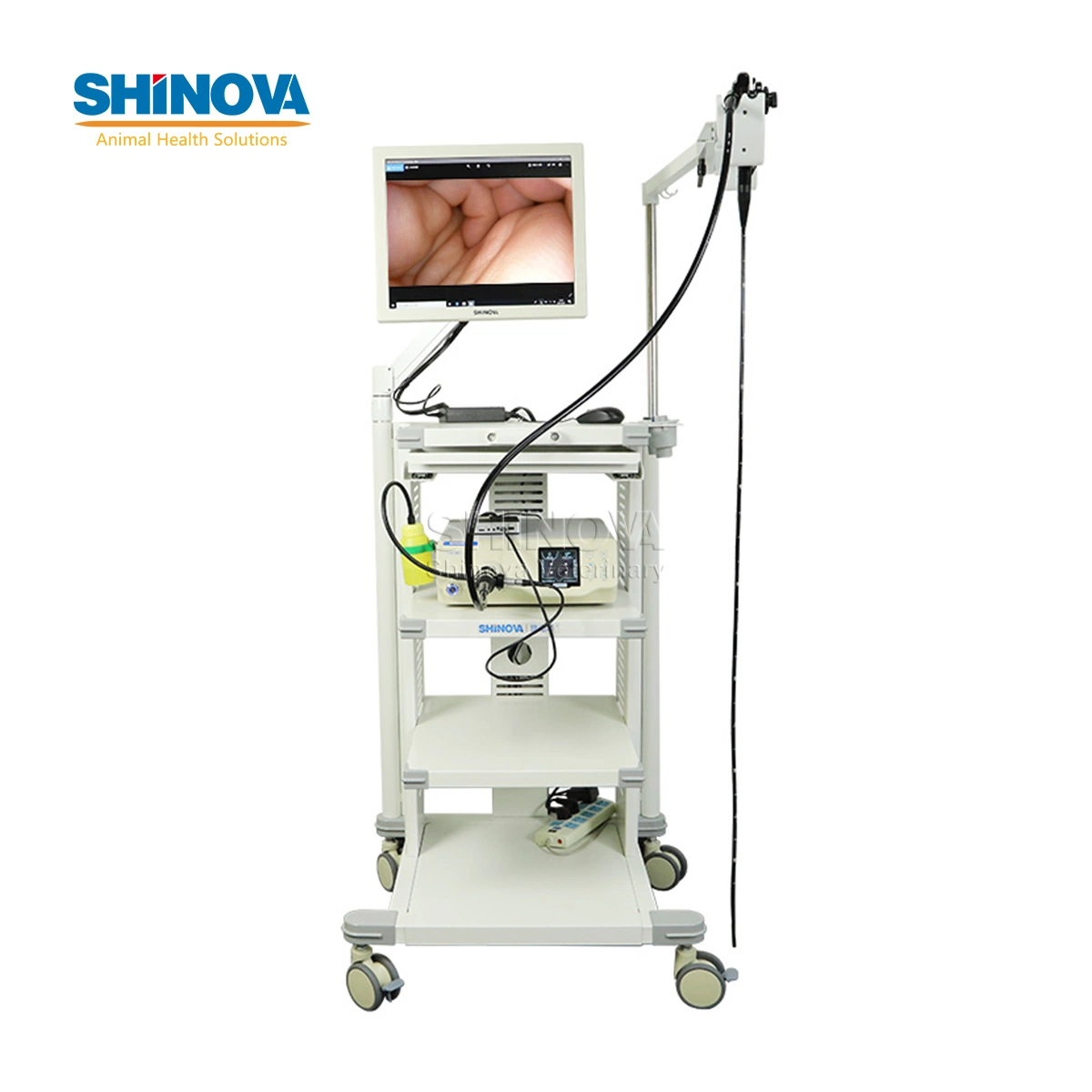 Shinova 8.0mm Diameter 1500mm Working Length High-Definition Flexible Endoscope Veterinary Video Endoscope Veterinary Gastroscope (HiScope 80) Four Direction