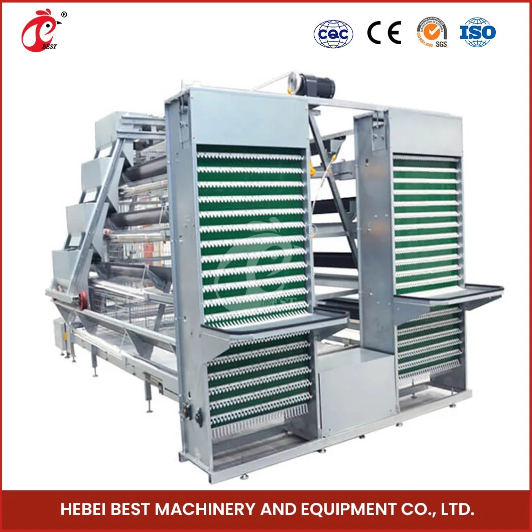 Bestchickencage Ordinary Type Layer Cage China 1000 Chickens Poultry Layer Cages Manufacturing Wholesale/Supplier 920*730*420mm Machine Size Chicken Cage for Layer