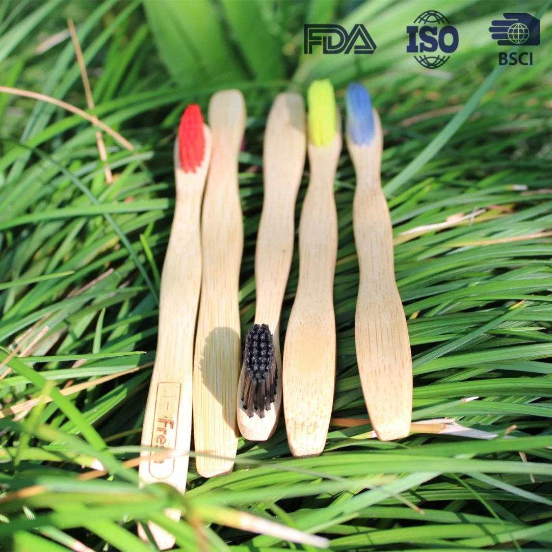 FDA Approval Family Oral Care Bamboo Toothbrush