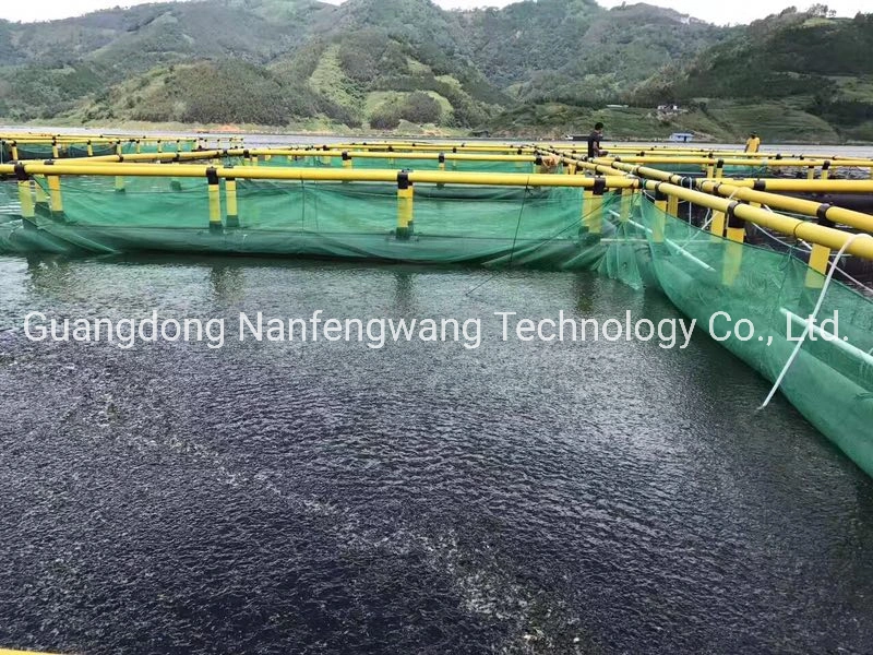 Cage carrée de pisciculture en HDPE pour poissons d'élevage de tilapia ou de mérou dans un lac Équipement de pêche Équipement de pêche