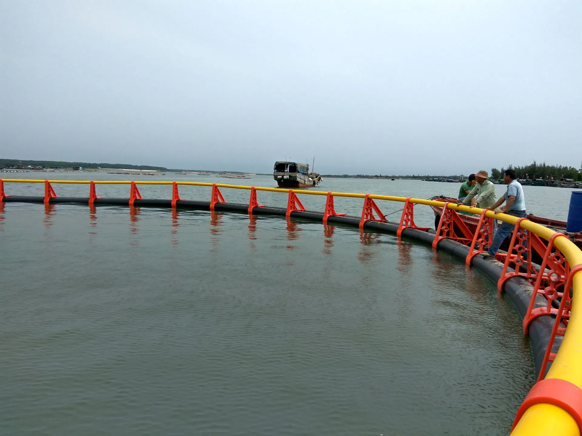 Jaula de peixe de HDPE como equipamento de aquicultura com uma paragem e totalmente redondo Serviço