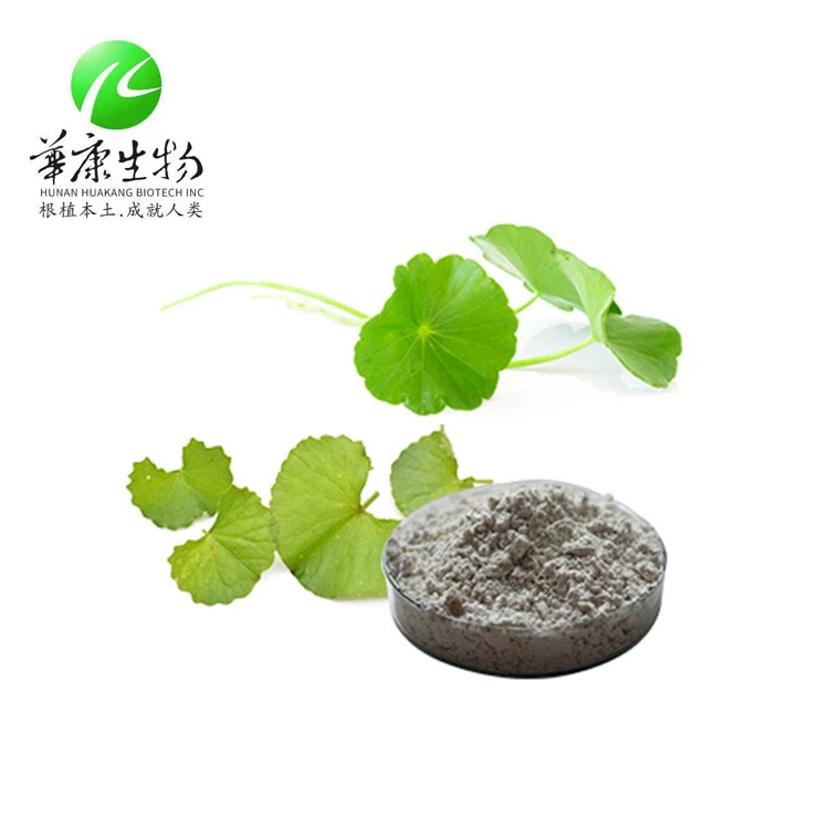 Gotu Kola Extract, Centella Asiatica Extract