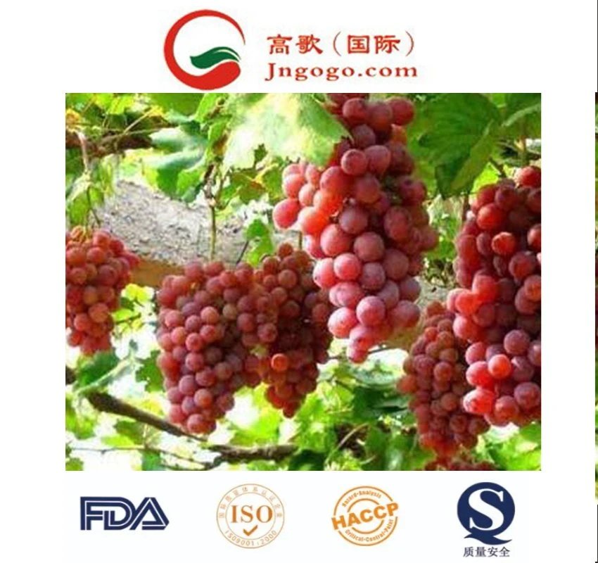 China's Best Fresh Red and Green Grapes