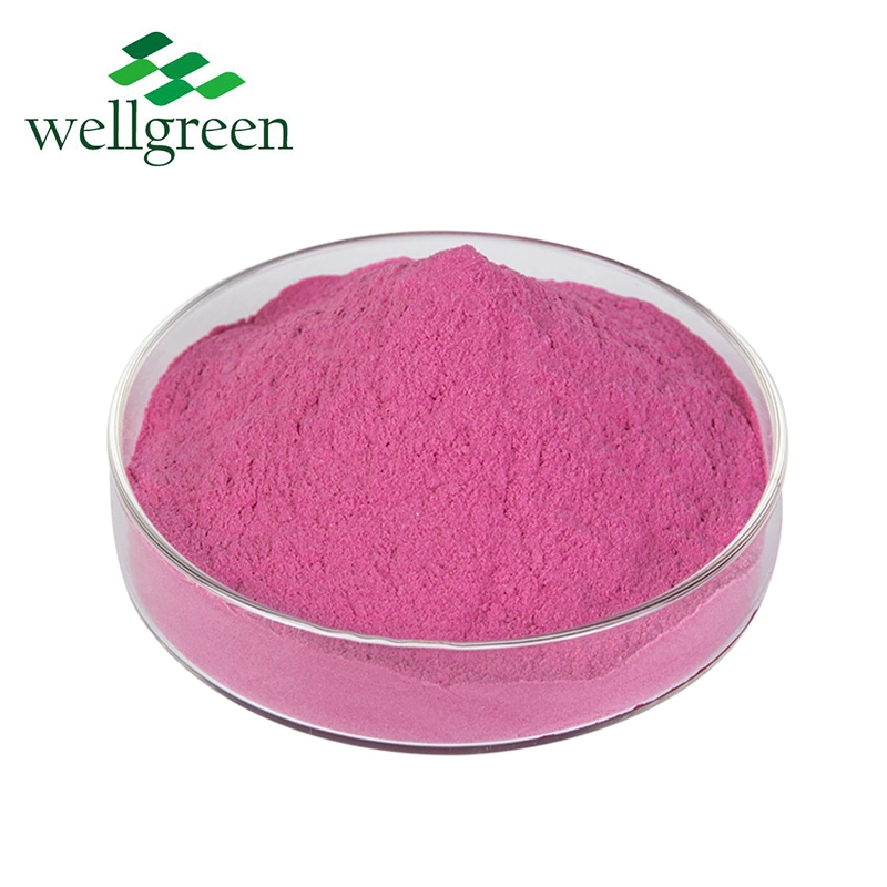 Seeds Dried Juice Extract Fresh Jordan Bulk Hybrid Beetroot Juice Powder Supplement Beetroot Powder