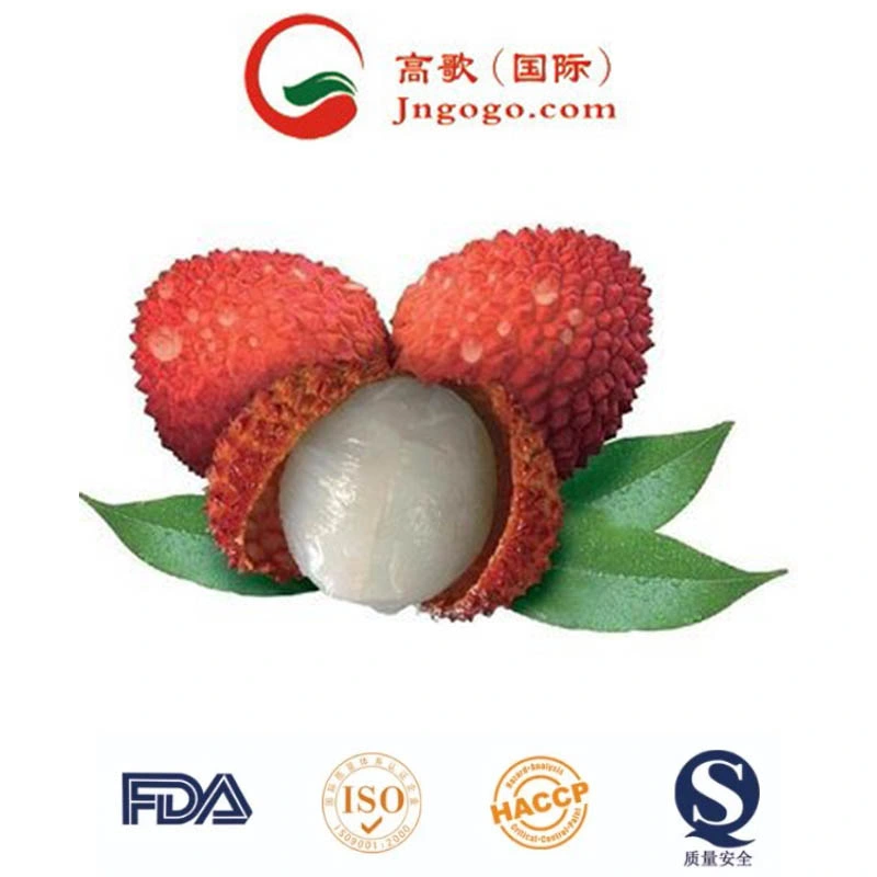 Whole Sale IQF Frozen Litchi and Frozen Fruits