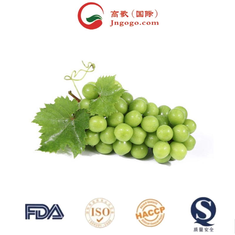 High Sweet Fresh Shine Muscat Muscat Grapes for Sale