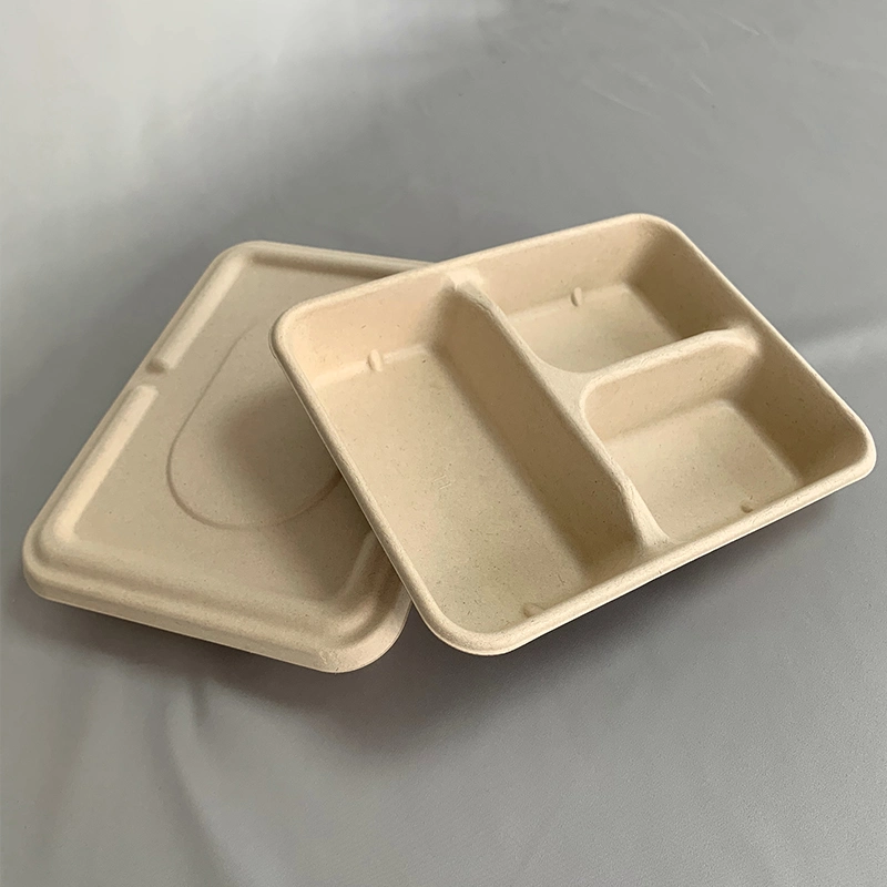 Eco-Friendly Disposable Takeaway Food Tray Biocane Plate Compostable Plates Fast Food Tray 3-Compartment Trays Biodegradable Lunch Food Tray for School, Picnic