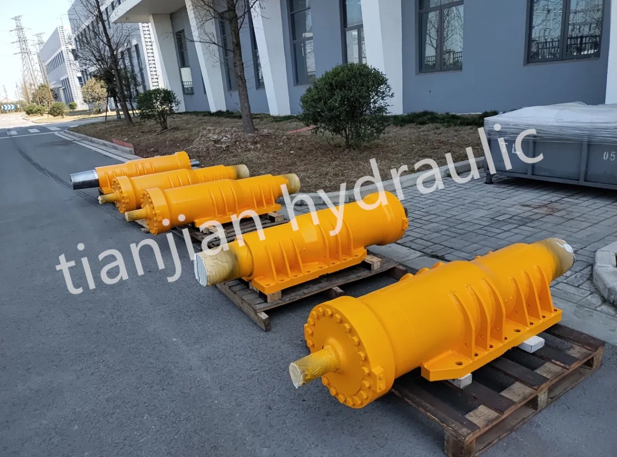 China Manufacturer Custom Front Rear Suspension for Mining Dump Truck