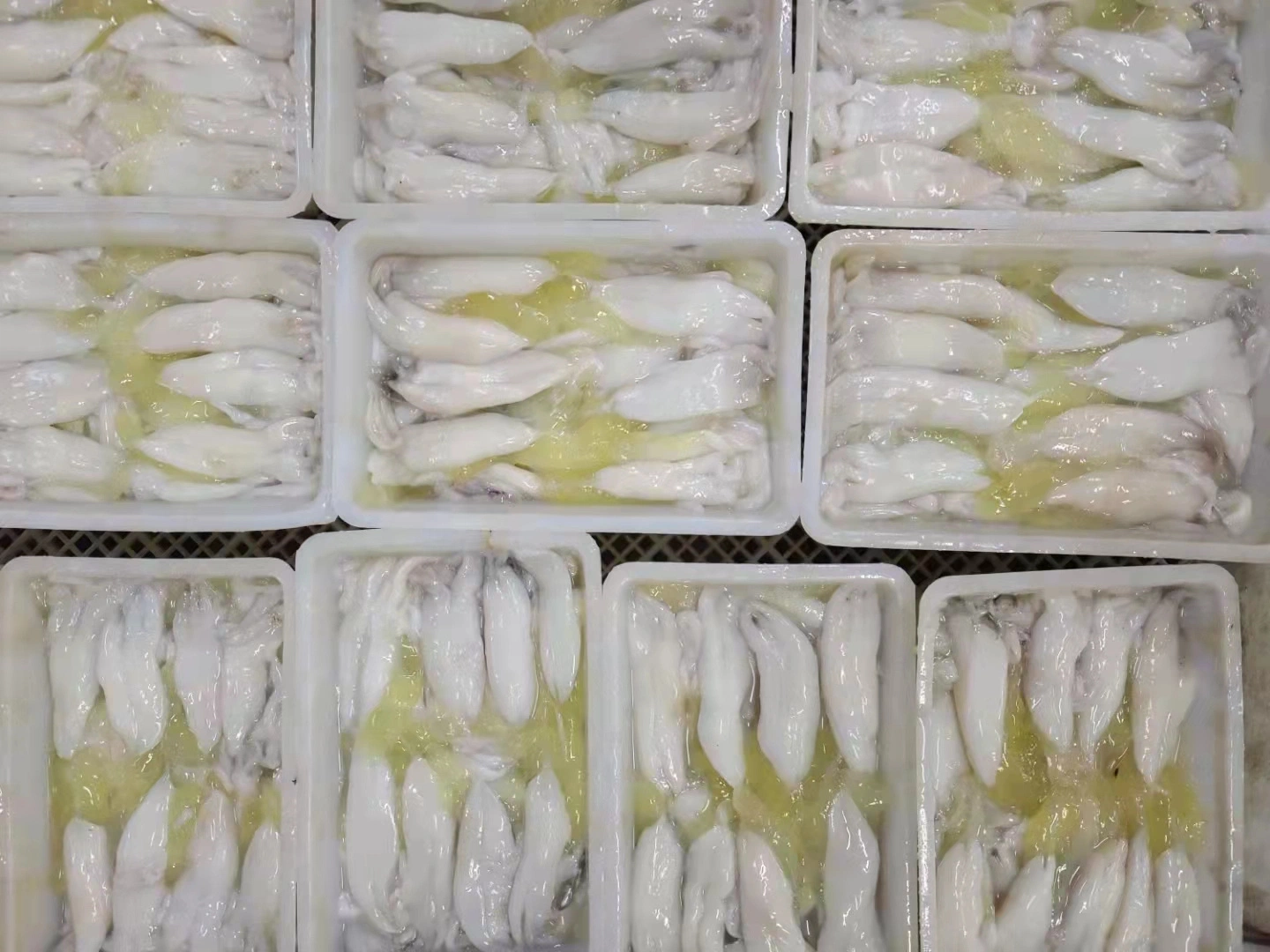 Top Quality Sea Food Processing Squid Roe Frozen Egg Squid