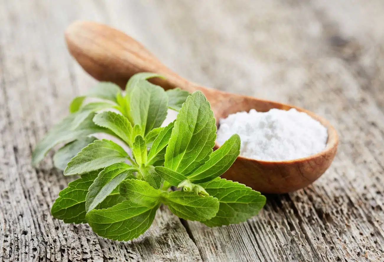 Food Sweetener From Natural Source Stevia Plant